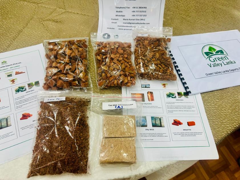 UNESCAP Wesellonline online training photo gallery